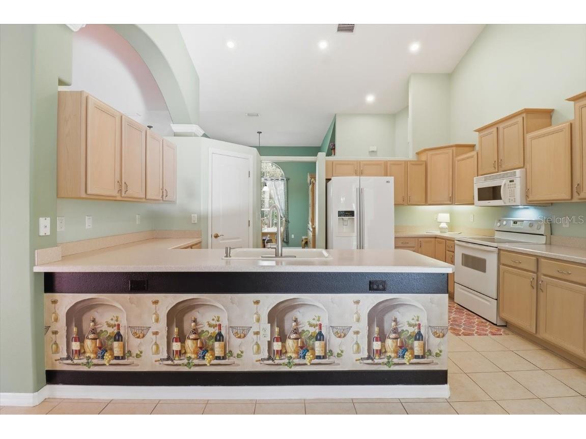 4488 N Capistrano Loop Beverly Hills FL 34465 OM713162 image9