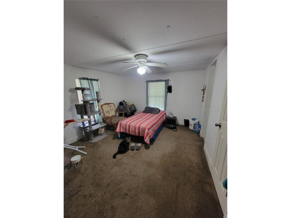 4488 N Elm Drive Crystal River FL 34428 OM708851 image20