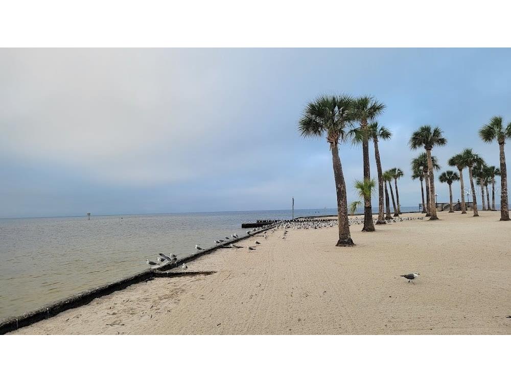 4489 Fishman Avenue Weeki Wachee FL 34607 W7883852 image28