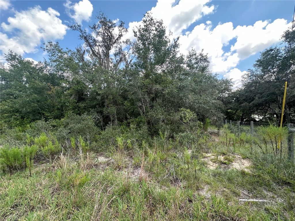 449 450 & E1/2 LOT 451 Sw Shorewood Drive Dunnellon FL 34431 - Tiger Lake TB8423292 image11