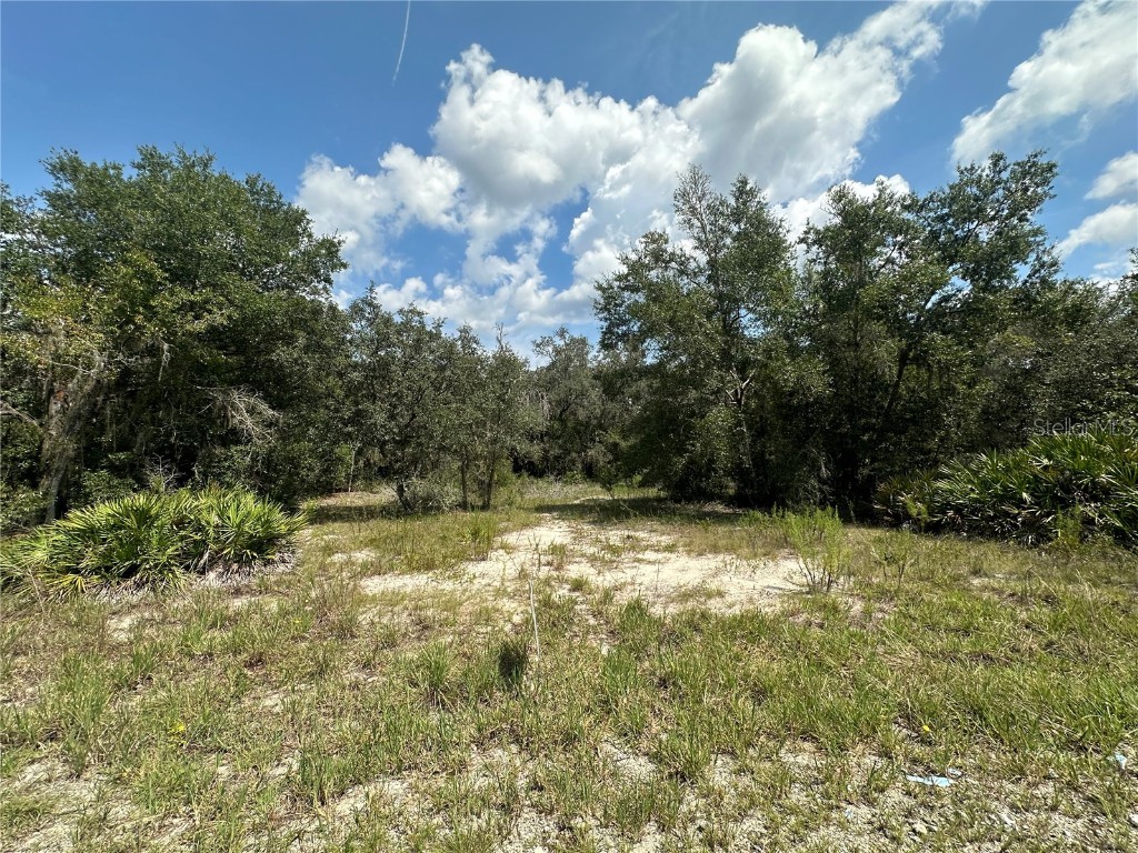 449 450 & E1/2 LOT 451 Sw Shorewood Drive Dunnellon FL 34431 - Tiger Lake TB8423292 image12