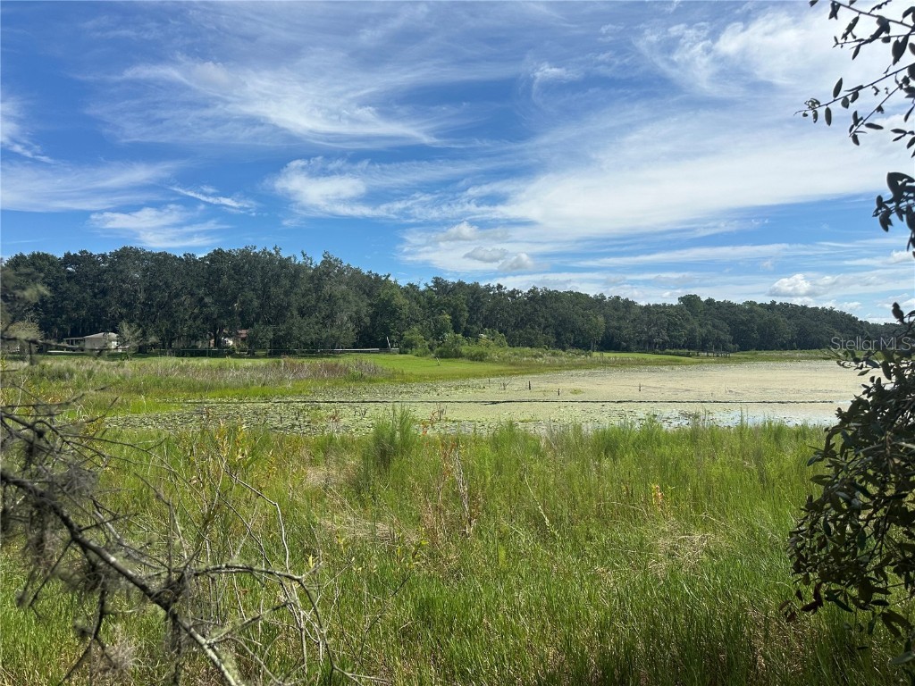 449 450 & E1/2 LOT 451 Sw Shorewood Drive Dunnellon FL 34431 - Tiger Lake TB8423292 image2