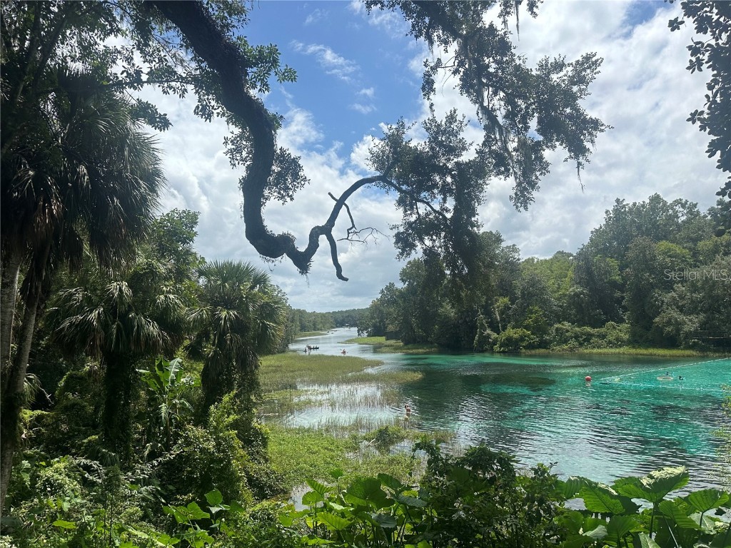 449 450 & E1/2 LOT 451 Sw Shorewood Drive Dunnellon FL 34431 - Tiger Lake TB8423292 image21