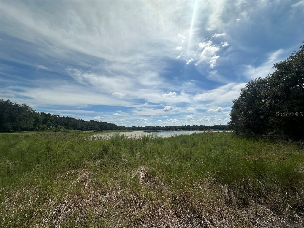 449 450 & E1/2 LOT 451 Sw Shorewood Drive Dunnellon FL 34431 - Tiger Lake TB8423292 image3