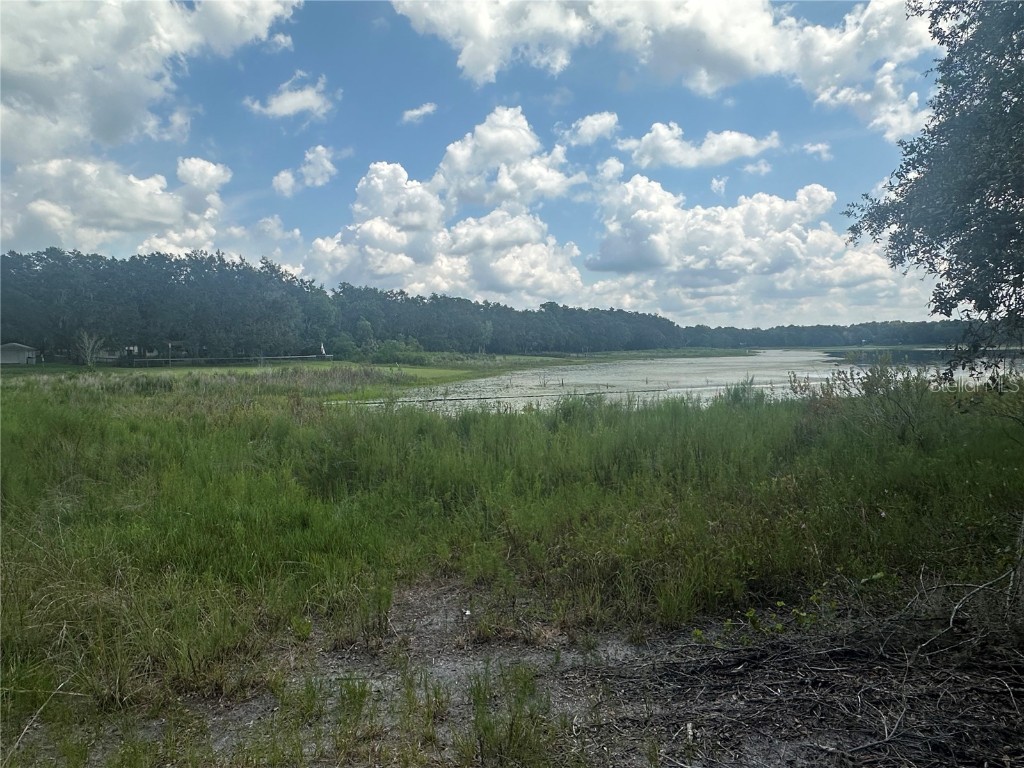 449 450 & E1/2 LOT 451 Sw Shorewood Drive Dunnellon FL 34431 - Tiger Lake TB8423292 image5