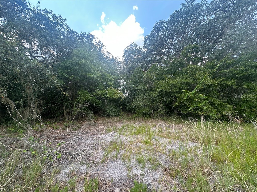 449 450 & E1/2 LOT 451 Sw Shorewood Drive Dunnellon FL 34431 - Tiger Lake TB8423292 image9