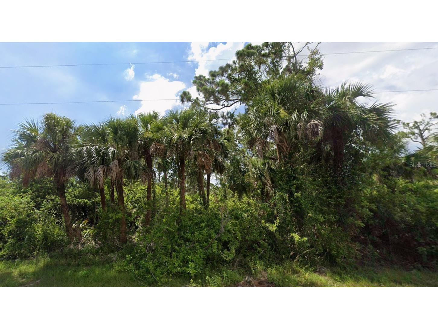 449 Cheshire Street Port Charlotte FL 33953 D6147237 image2
