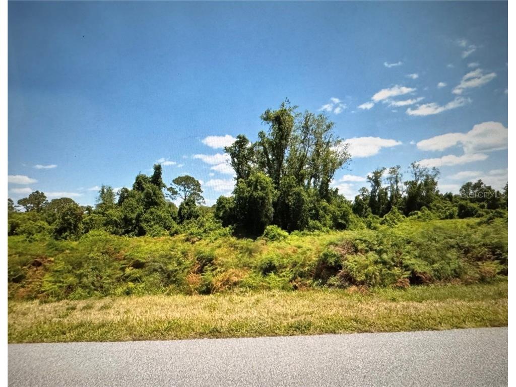 449 Hallmark Avenue Lake Placid FL 33852 OK225450 image1