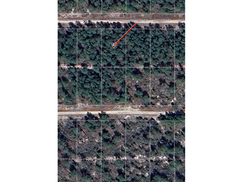 449 Hummingbird Avenue Sebring FL 33872 O6270563 image1