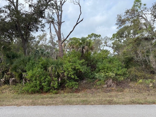 449 Lemoyne Street Port Charlotte FL 33954 C7520042 image4