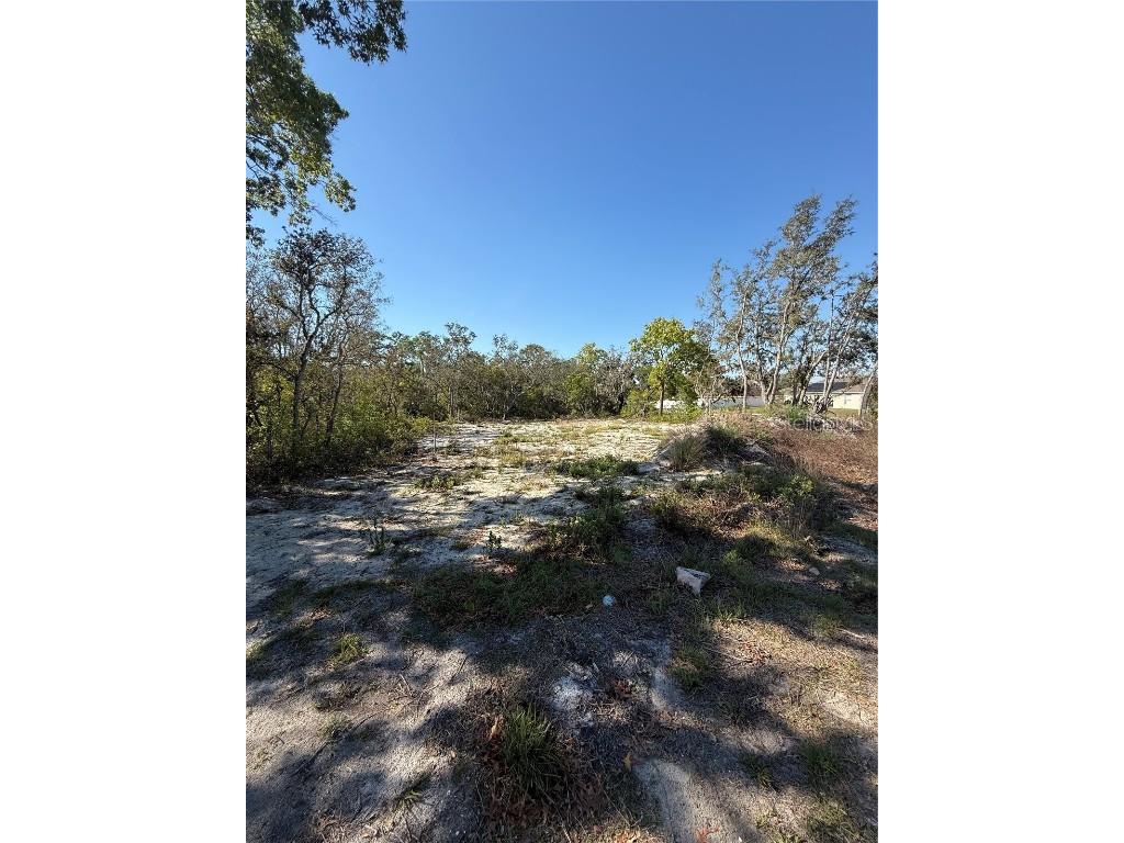 449 Naples Court Kissimmee FL 34759 S5123561 image3