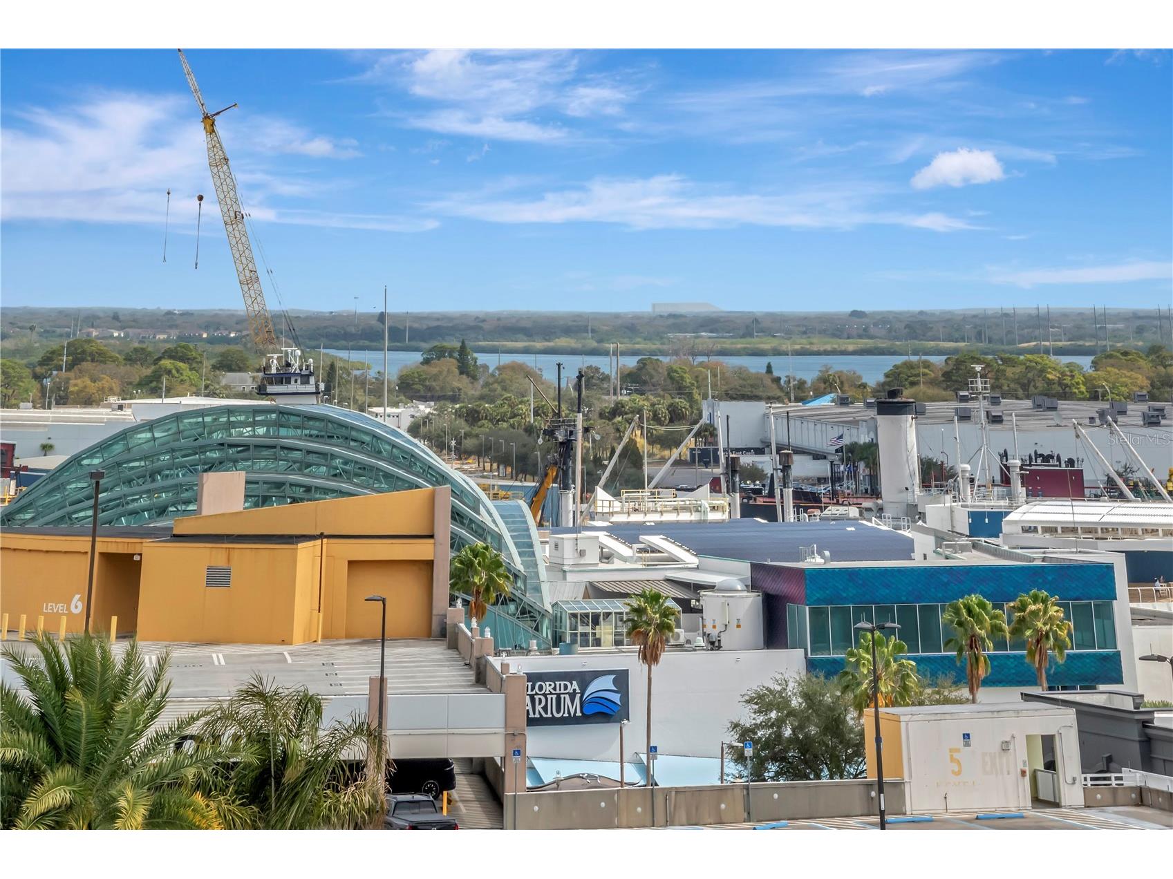 449 S 12th Street #1006 Tampa FL 33602 TB8475385 image37