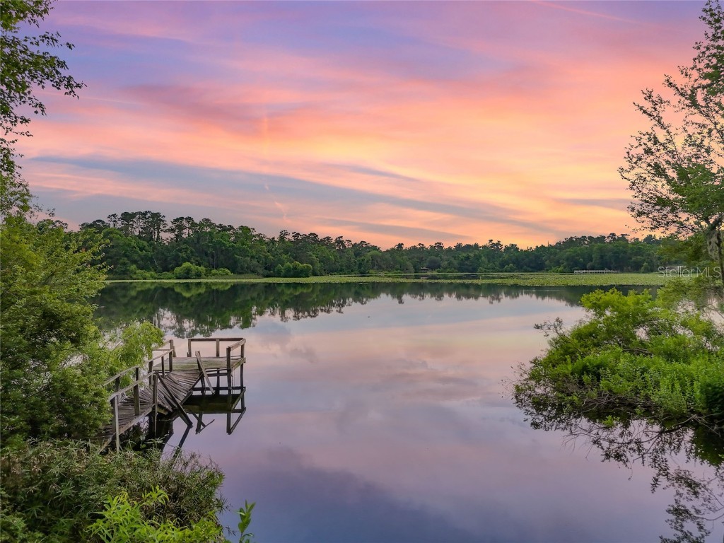 449 SW Montgomery Drive Lake City FL 32025 - LAKE MONTGOMERY FC310058 image39