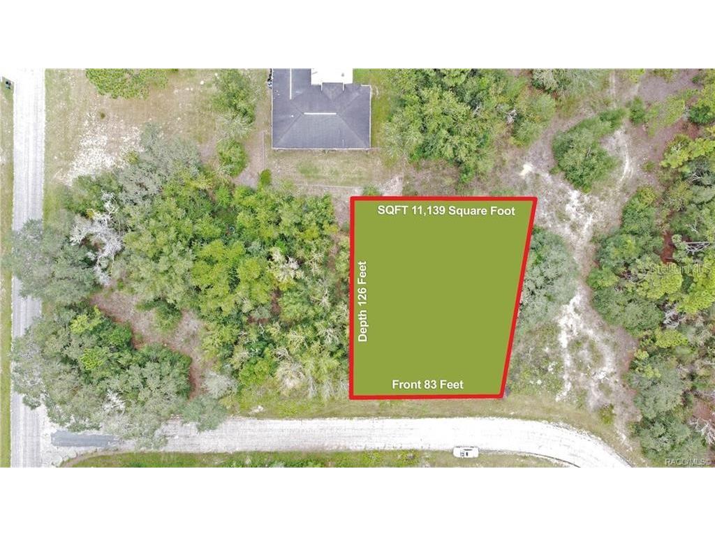 449 W Maffet Place Citrus Springs FL 34434 G5074149 image1