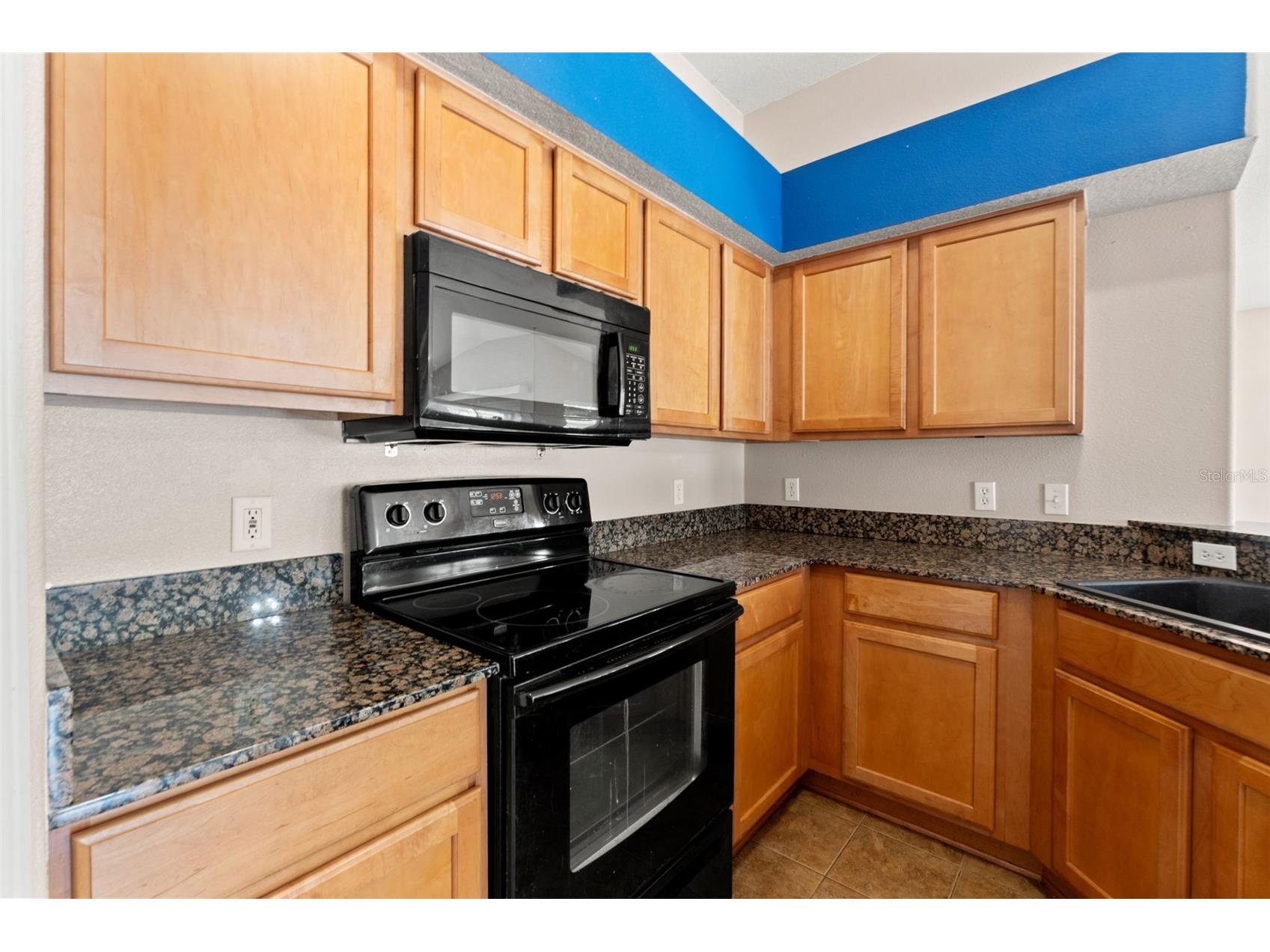 4490 Ayrshire Drive Spring Hill FL 34609 TB8508011 image15