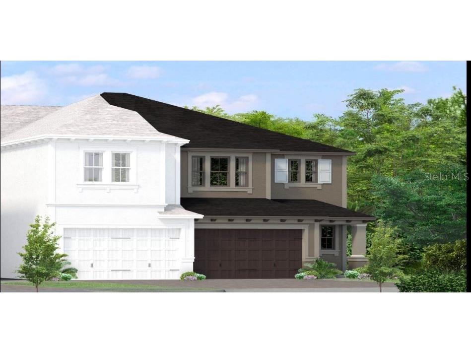 4491 Almada Lane Wesley Chapel FL 33543 T3393596 image1