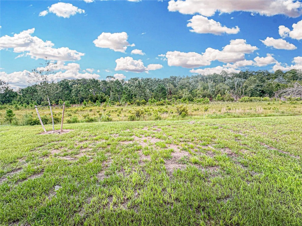 4492 Sagefield Drive Harmony FL 34773 O6328530 image13