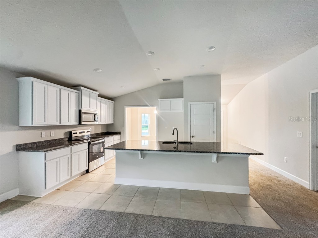 4492 Sagefield Drive Harmony FL 34773 O6328530 image4