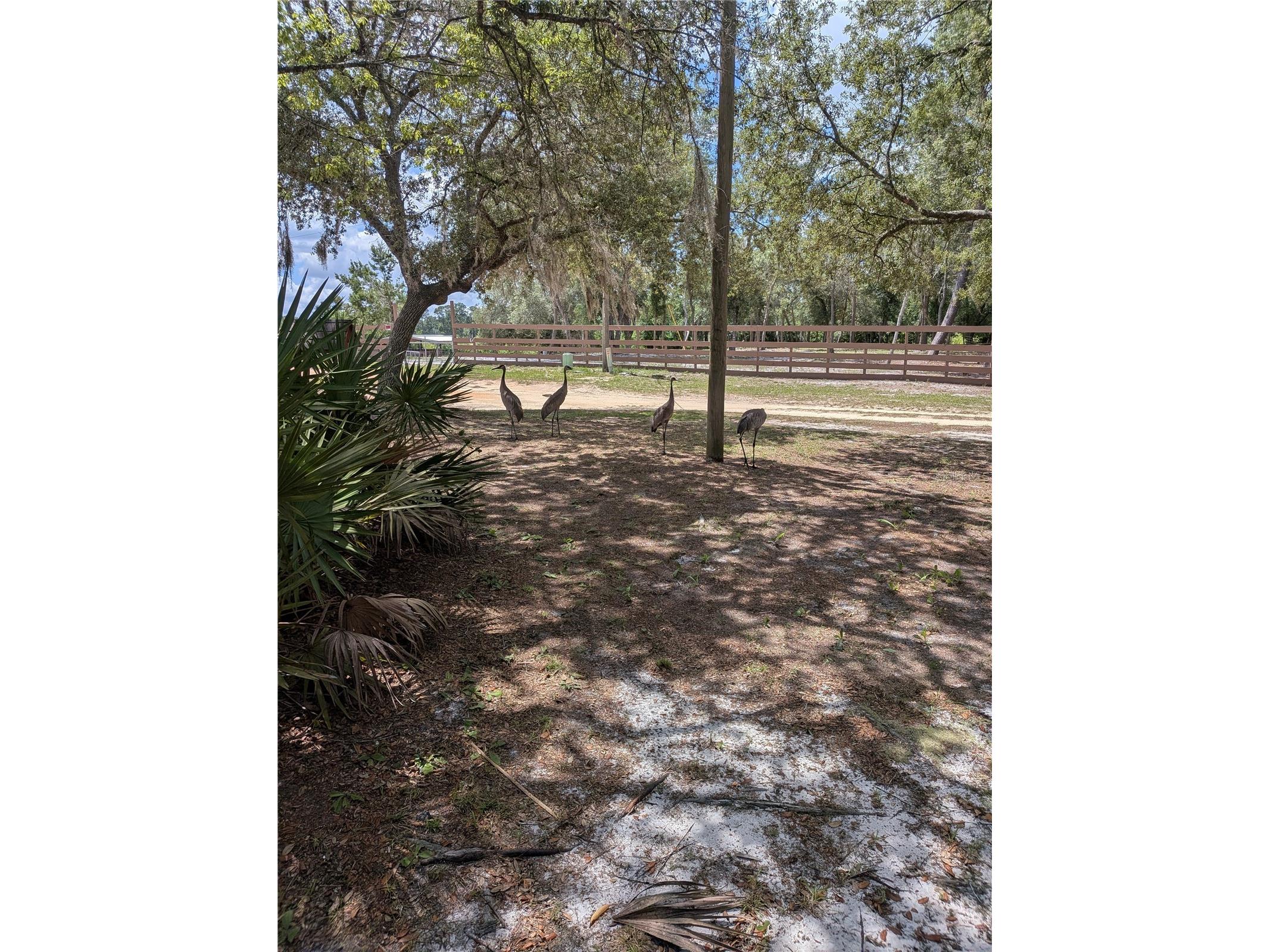 44931 2nd Street Deland FL 32720 V4949405 image23