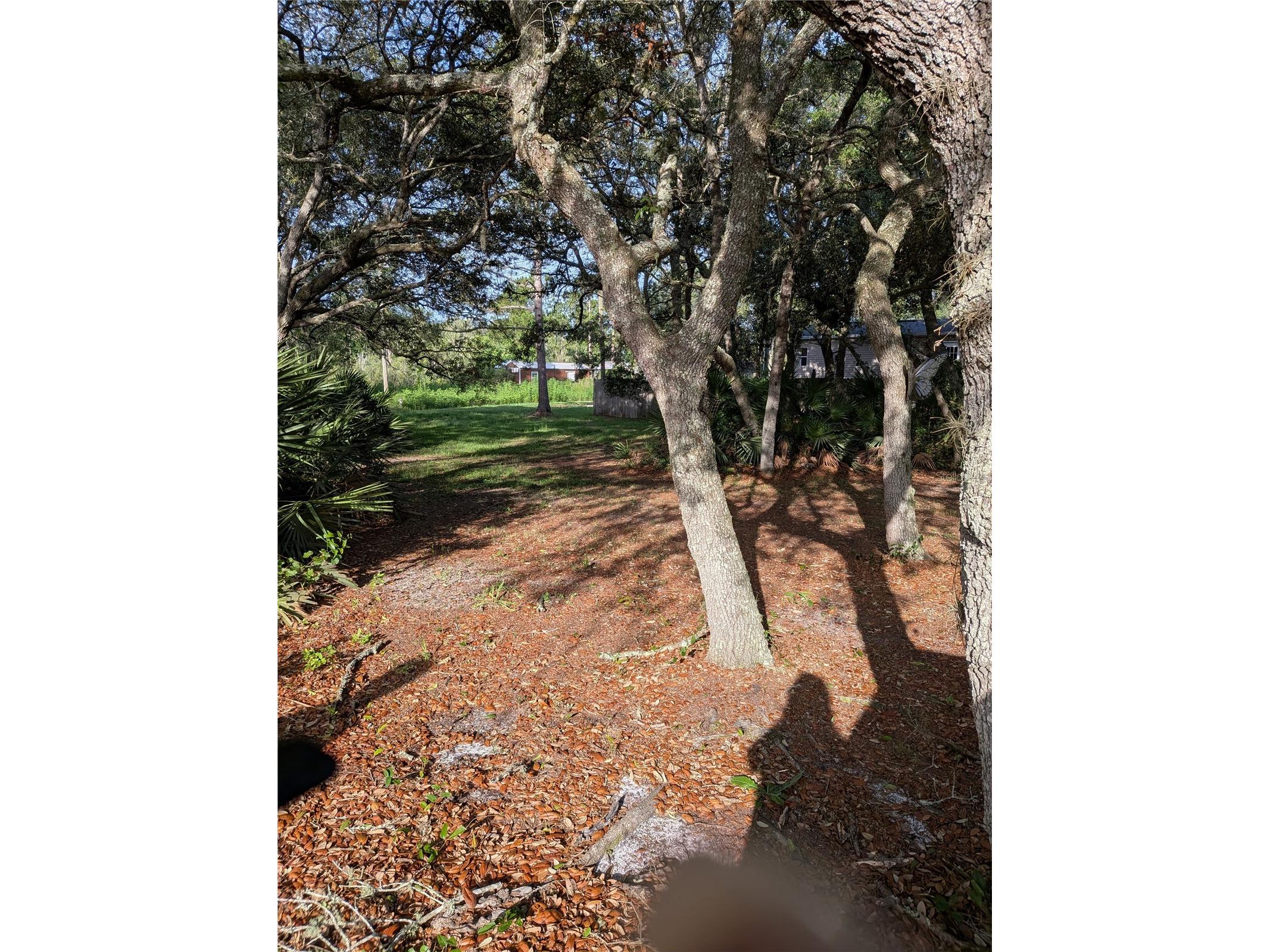 44931 2nd Street Deland FL 32720 V4949405 image24