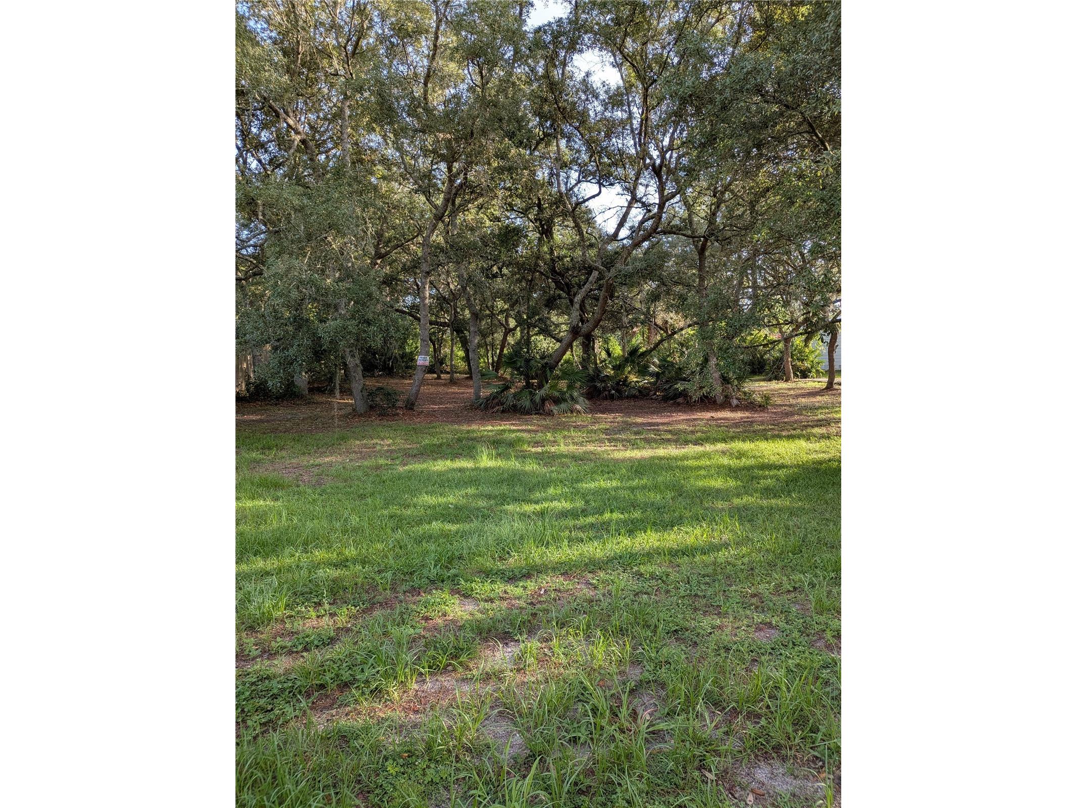 44931 2nd Street Deland FL 32720 V4949405 image26