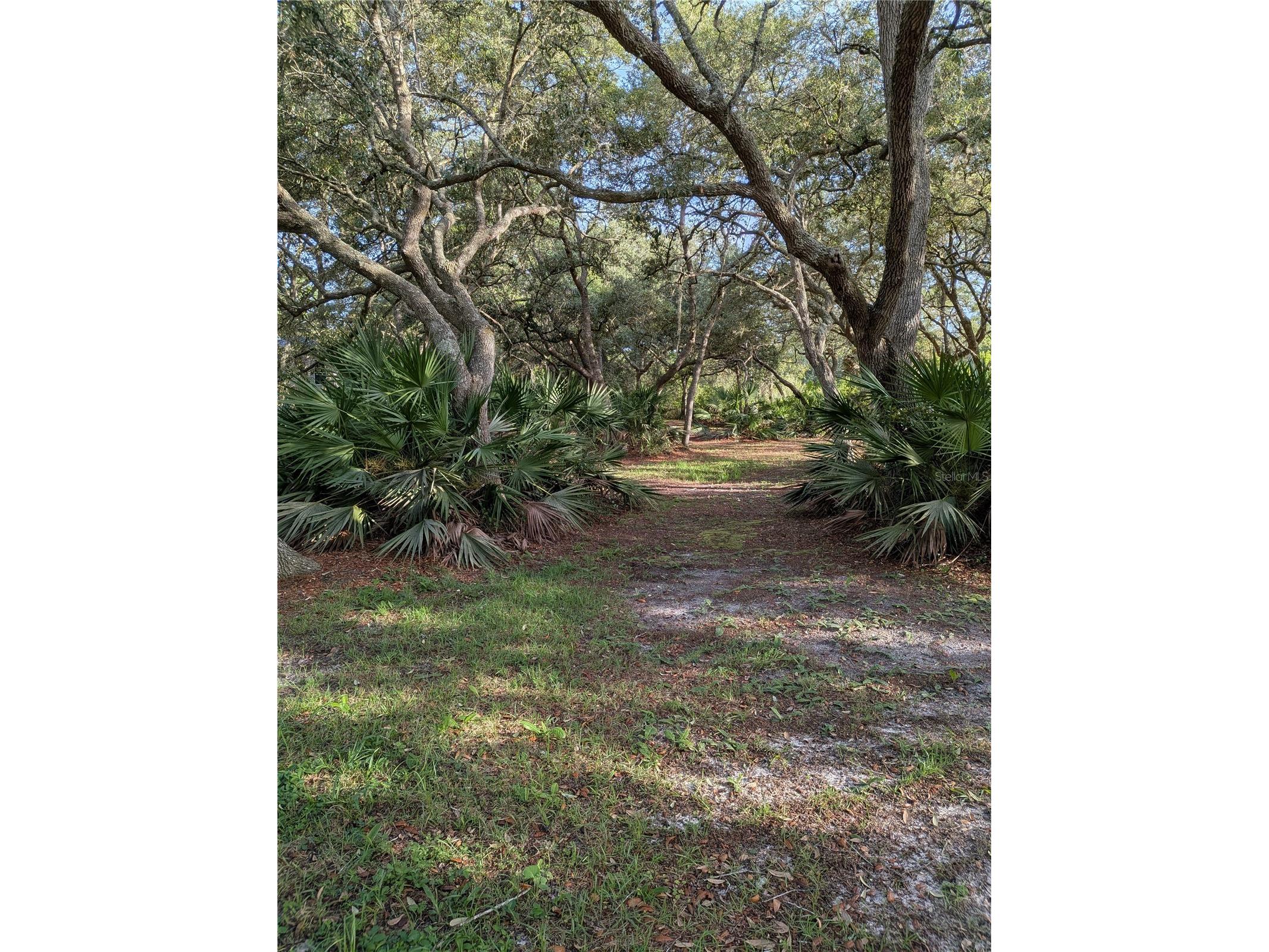 44931 2nd Street Deland FL 32720 V4949405 image27