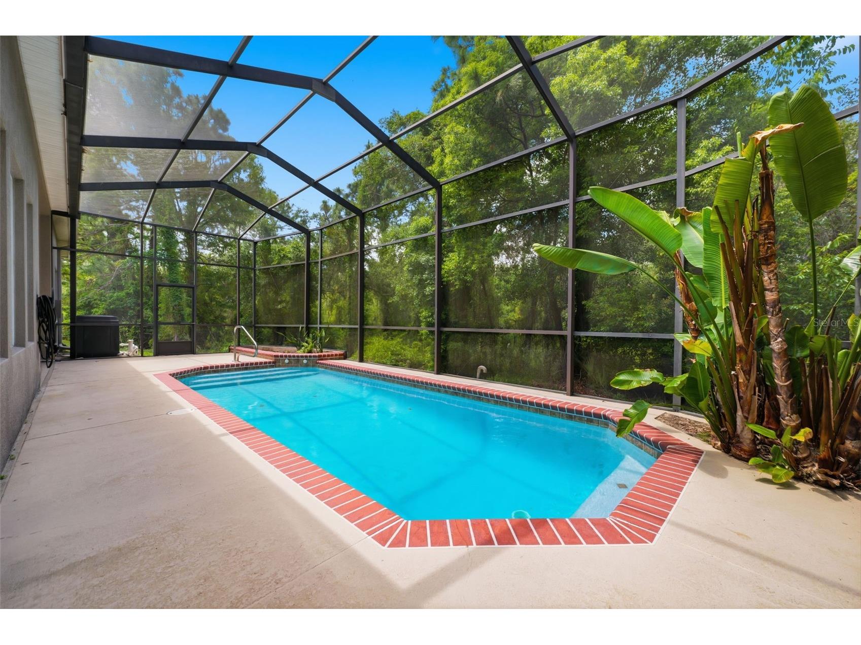 4495 Edenrock Place Spring Hill FL 34609 W7885538 image2