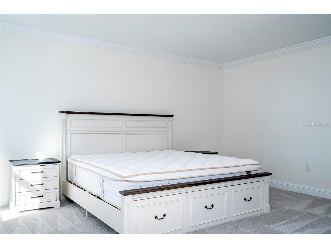 4495 Lions Gate Avenue Clermont FL 34711 O6357498 image65