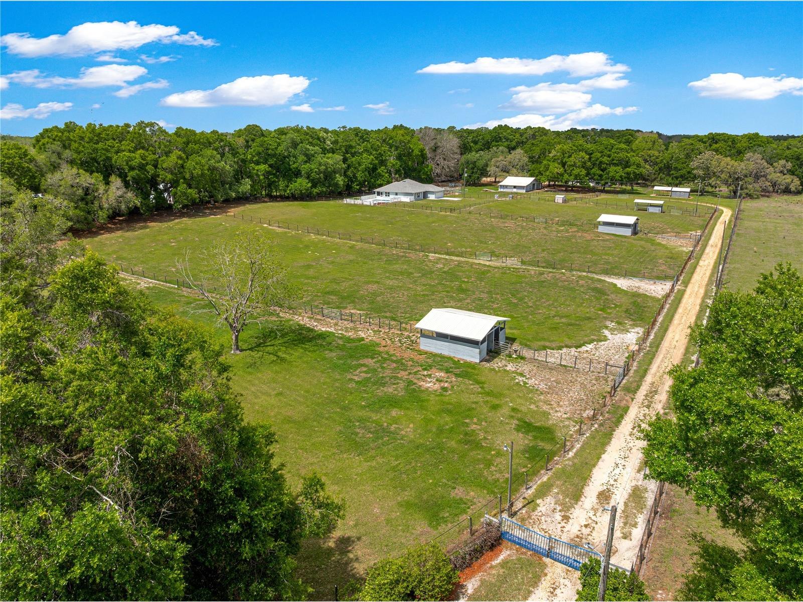 4495 SE 150th Street Summerfield FL 34491 OM719293 image4