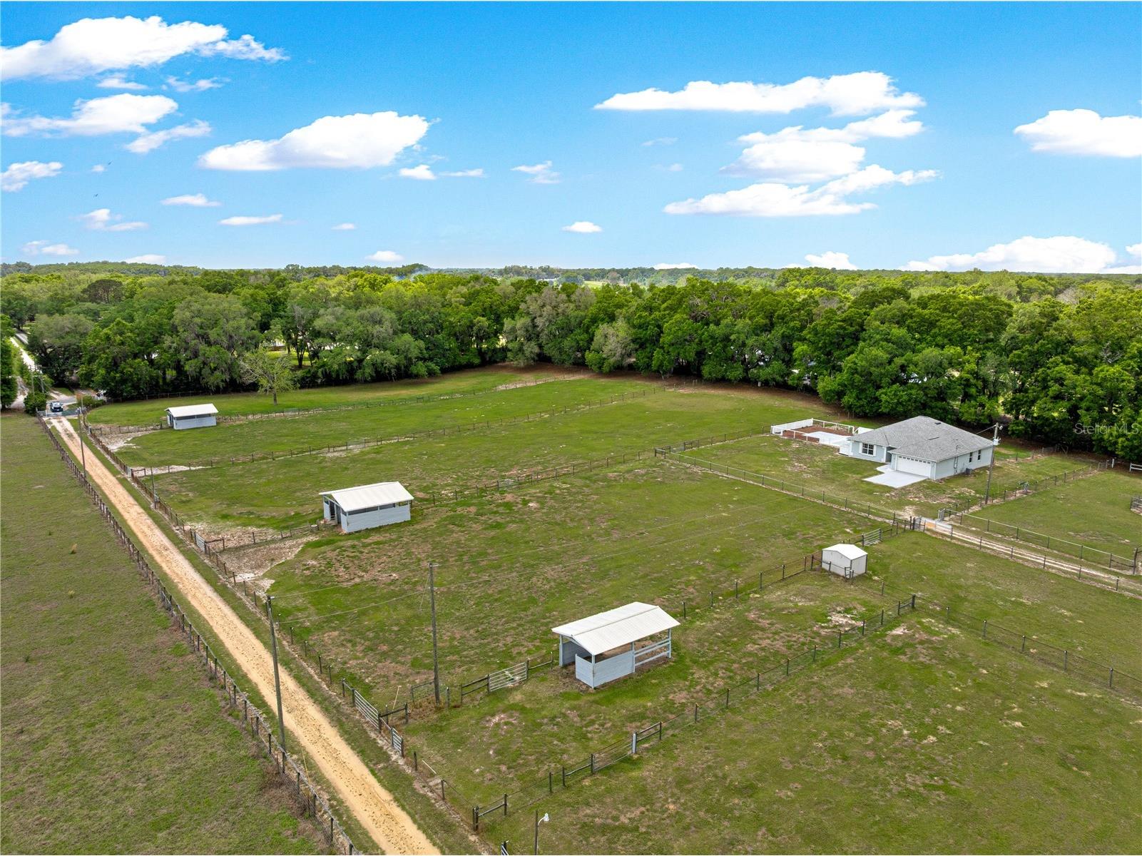 4495 SE 150th Street Summerfield FL 34491 OM719293 image6