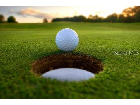 4496 Strathmore Drive Lake Wales FL 33859 P4936036 image57