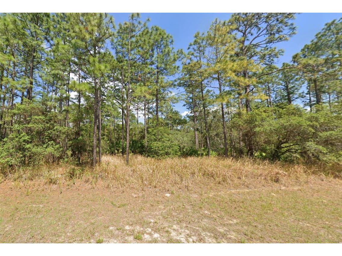 4497 N Canarywood Terrace Beverly Hills FL 34465 O6349461 image1