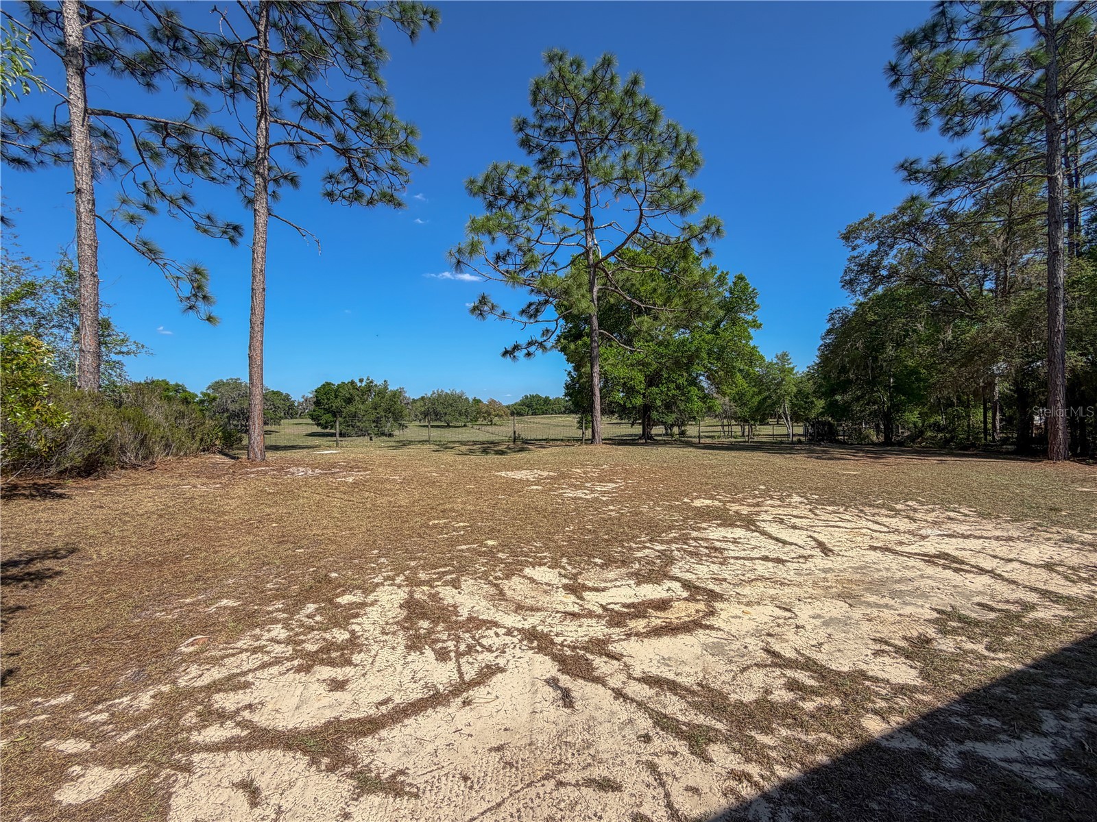 4497 NE 142nd Avenue Williston FL 32696 GC540079 image7