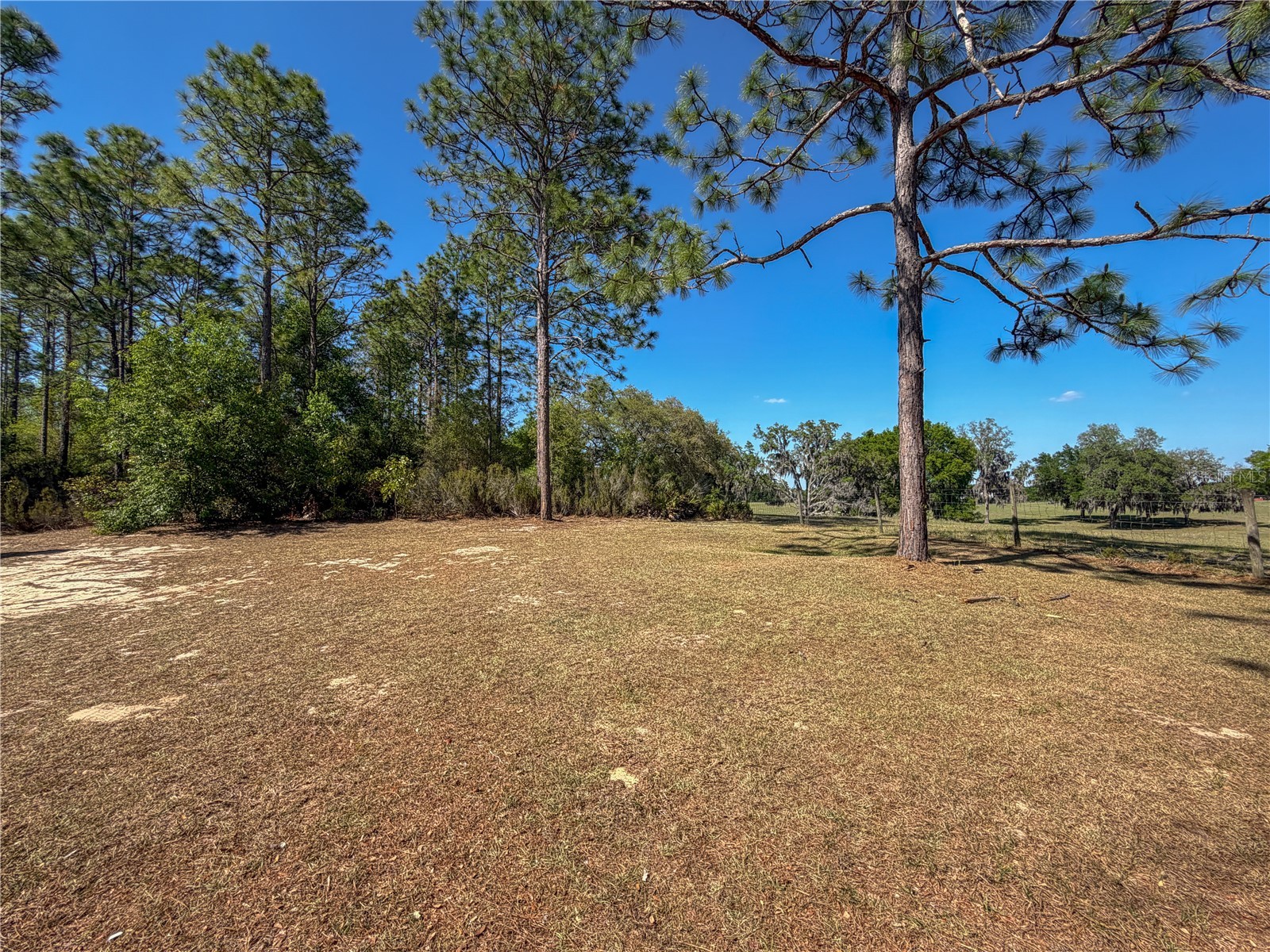 4497 NE 142nd Avenue Williston FL 32696 GC540079 image9