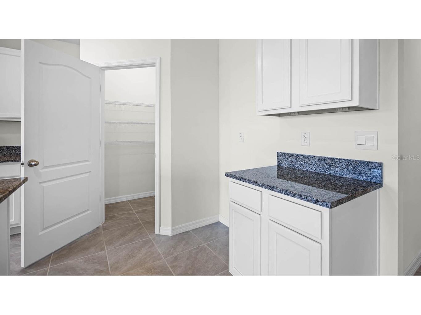 4497 Yaupon Holly Way Lakeland FL 33811 O6301670 image11