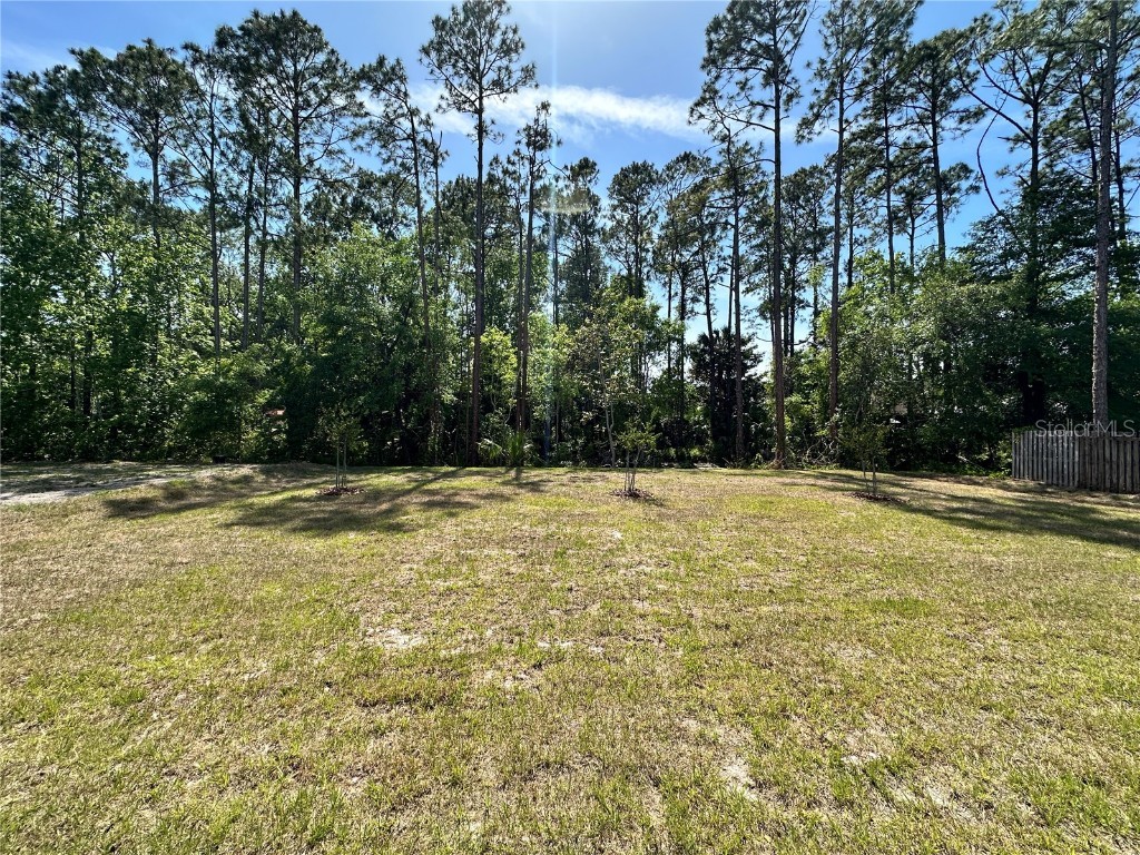 45 Braddock Lane Palm Coast FL 32137 C7509533 image14
