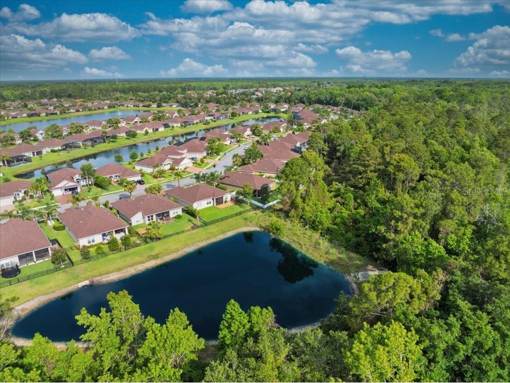 45 Graham Woods Place Palm Coast FL 32137 FC316589 image4