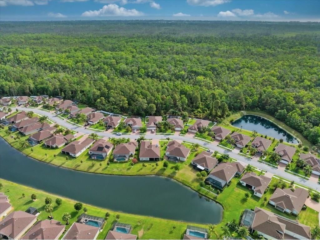 45 Graham Woods Place Palm Coast FL 32137 FC316589 image40