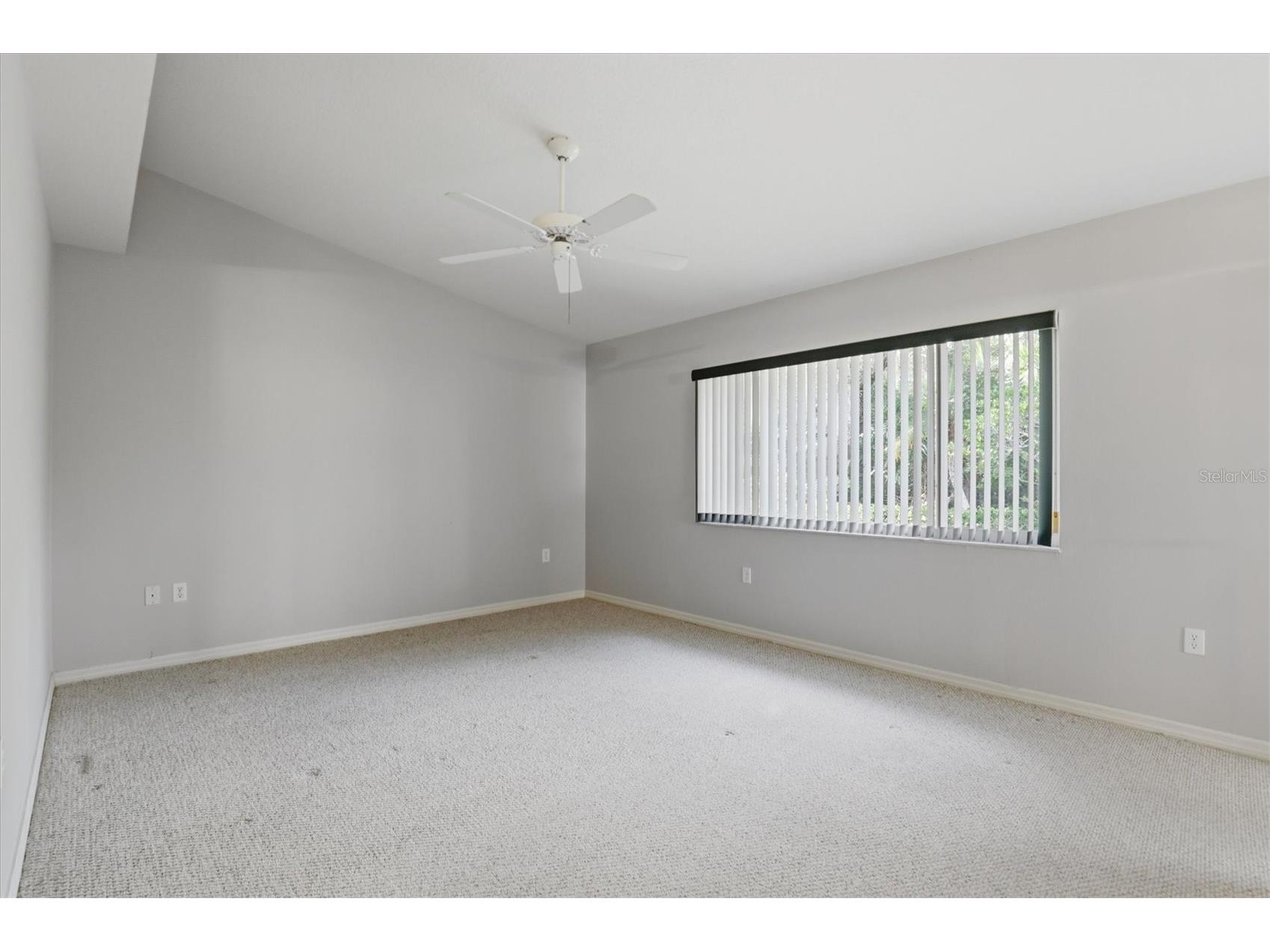 45 Gulfwinds Drive W Palm Harbor FL 34683 TB8456437 image21