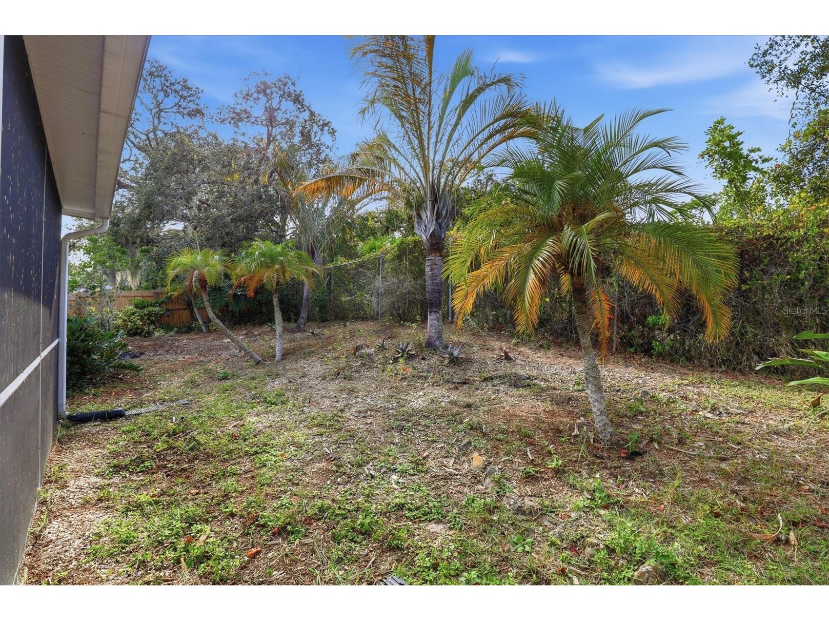 45 Gulfwinds Drive W Palm Harbor FL 34683 TB8456437 image31