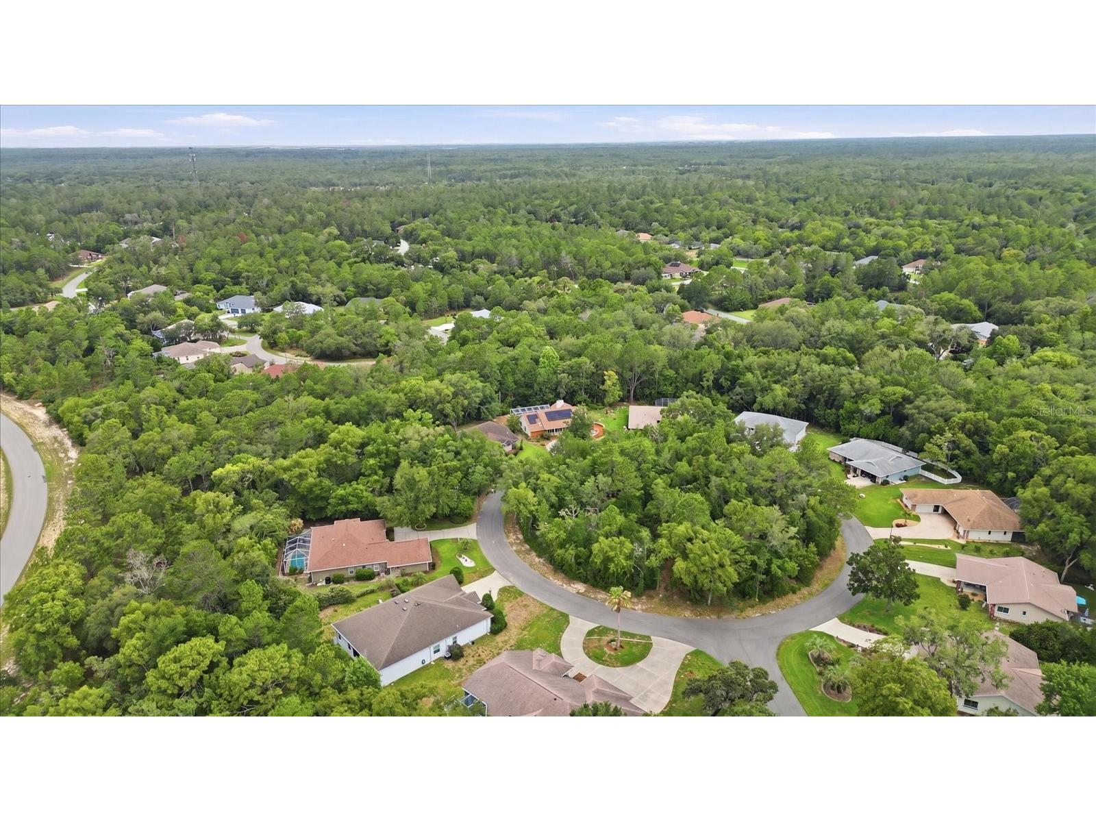 45 Hollyhock Court Homosassa FL 34446 OM725384 image46