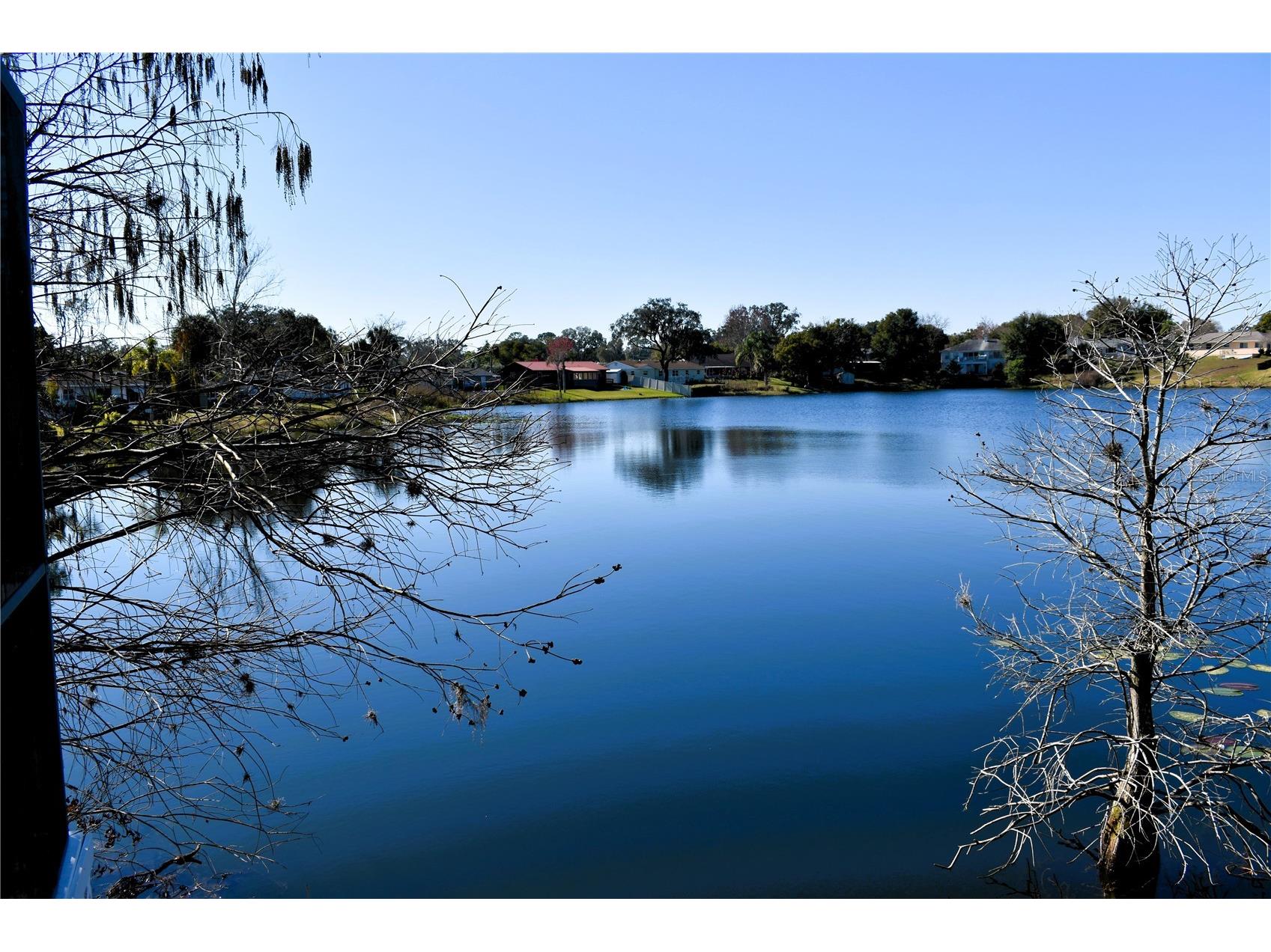 45 Lantana Drive Debary FL 32713 - LAKE ANNA MARIE V4947065 image2