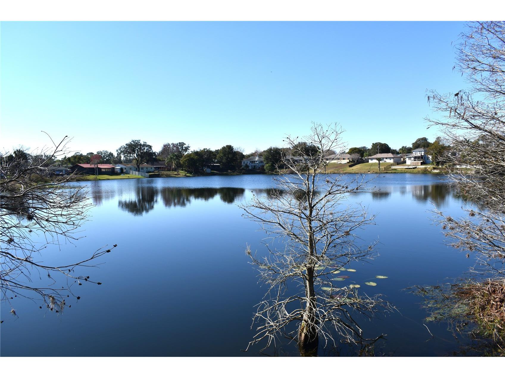 45 Lantana Drive Debary FL 32713 - LAKE ANNA MARIE V4947065 image41