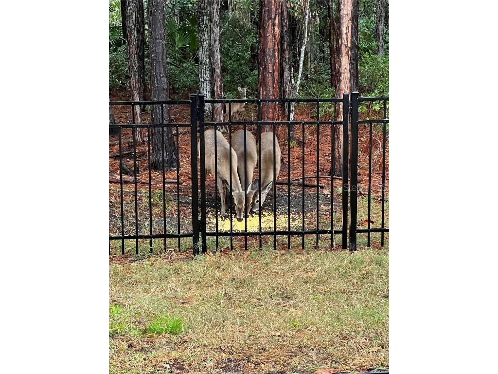 45 Lob Wedge Lane Bunnell FL 32110 FC308053 image46