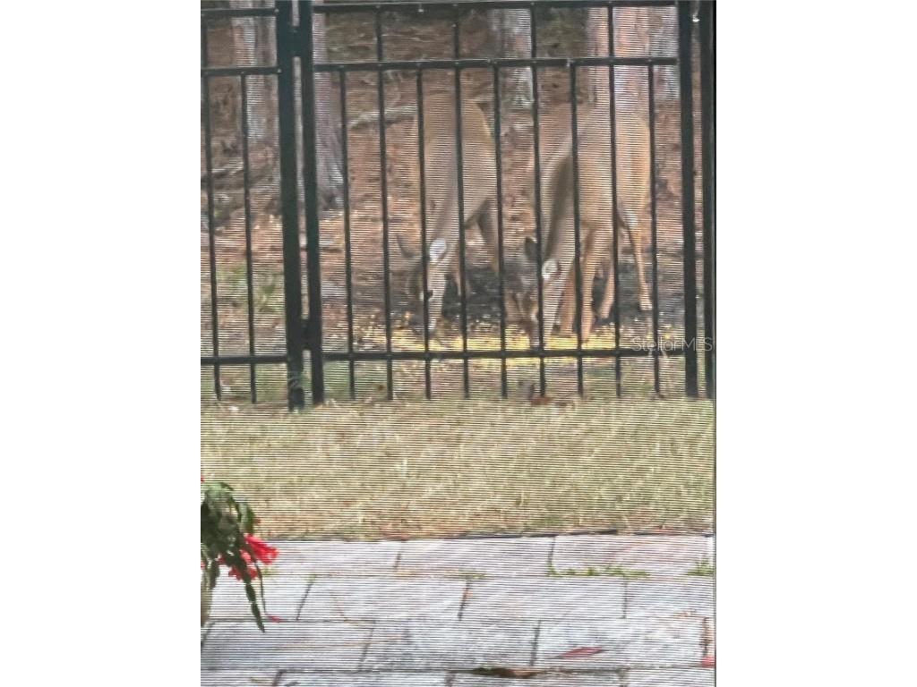 45 Lob Wedge Lane Bunnell FL 32110 FC308053 image47