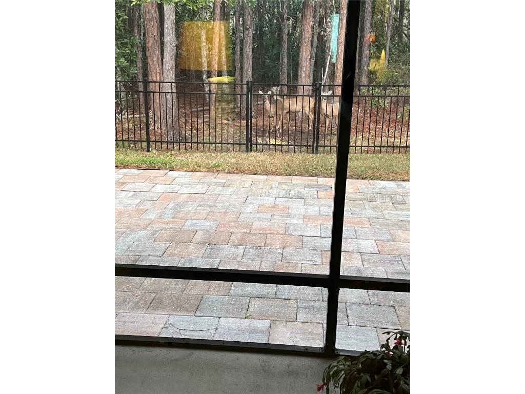 45 Lob Wedge Lane Bunnell FL 32110 FC308053 image48