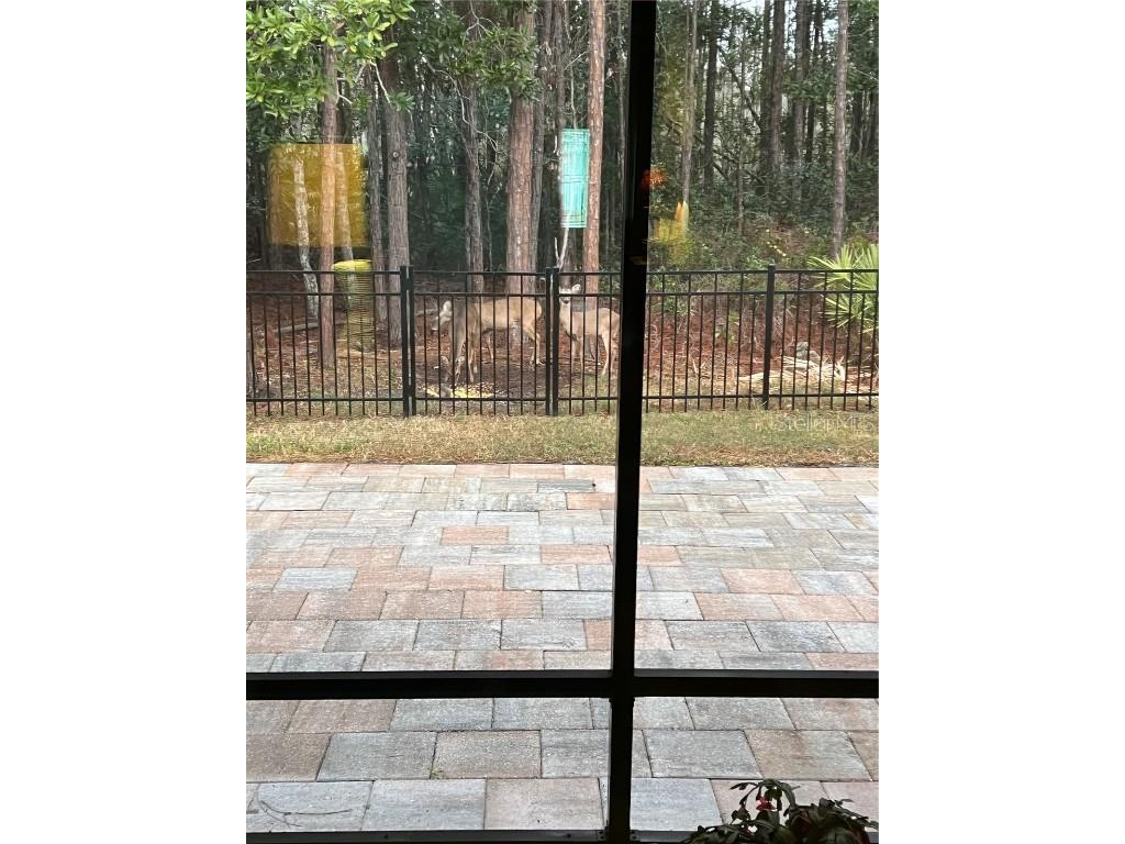 45 Lob Wedge Lane Bunnell FL 32110 FC308053 image49