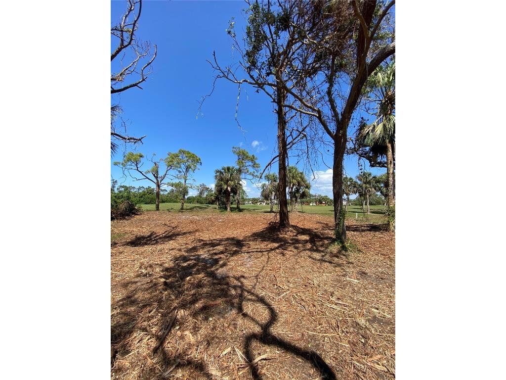 45 Long Meadow Place Rotonda West FL 33947 U8188759 image3