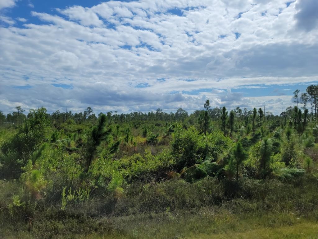 45 Meadowlark Boulevard Lake Wales FL 33898 O6063695 image1