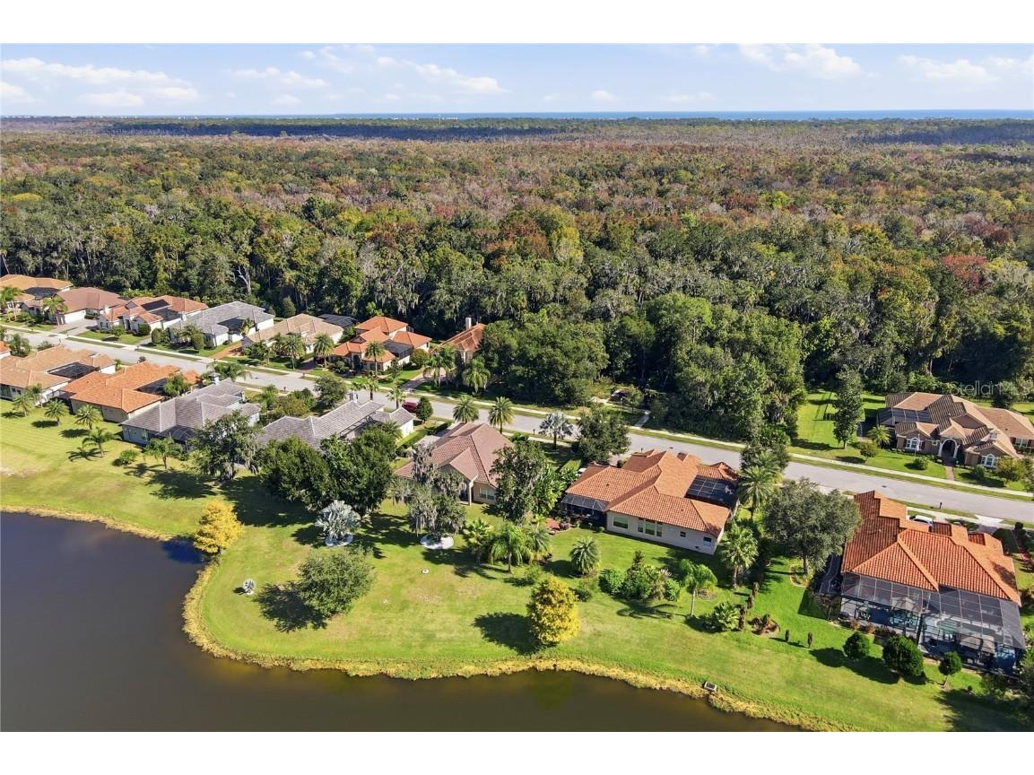 45 New Water Oak Drive Palm Coast FL 32137 FC313954 image50